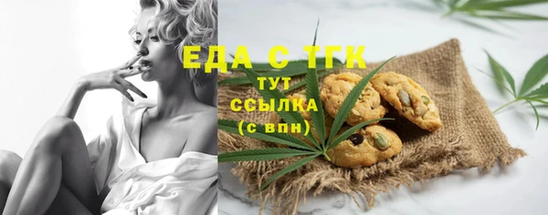 мдпв Богородск