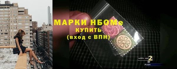 мдпв Богородск