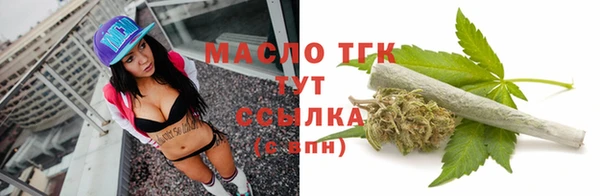 мдпв Богородск