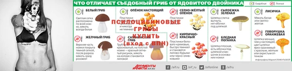 мдпв Богородск