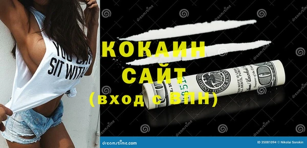 мдпв Богородск