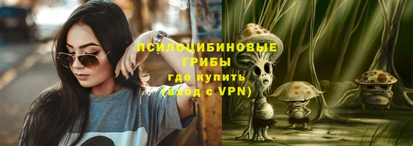 альфа пвп Богородицк