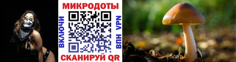 Галлюциногенные грибы мицелий Вуктыл